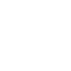 SVG Icon