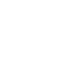 SVG Icon