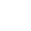 SVG Icon