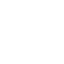 SVG Icon