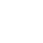 SVG Icon