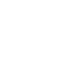 SVG Icon