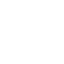 SVG Icon