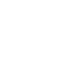 SVG Icon